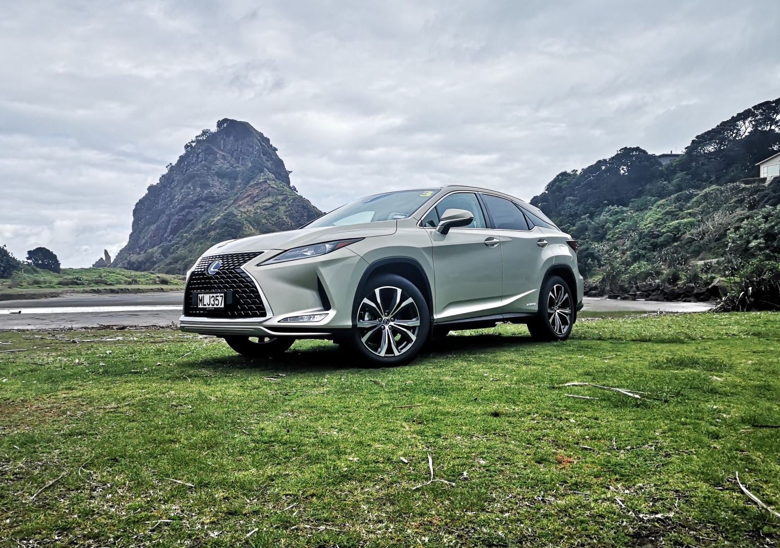 2020 Lexus RX Review NZ