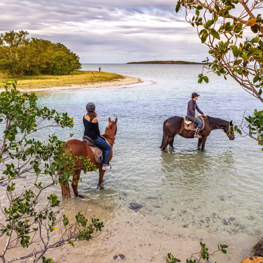 Touring New Caledonia on horseback