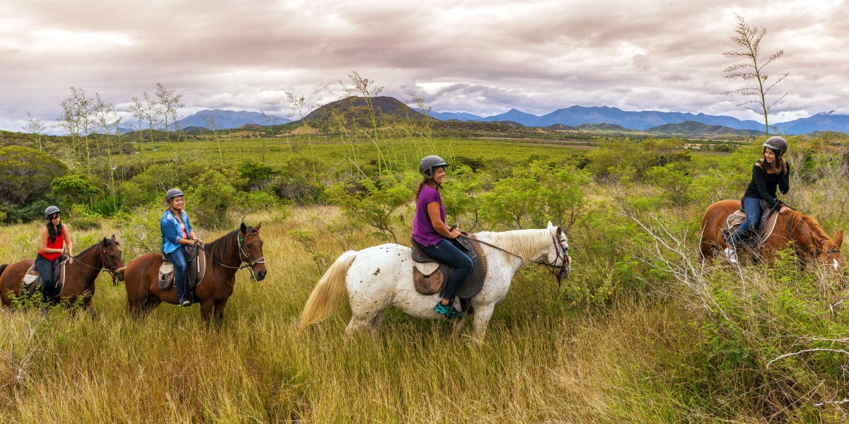 New Caledonia on horseback