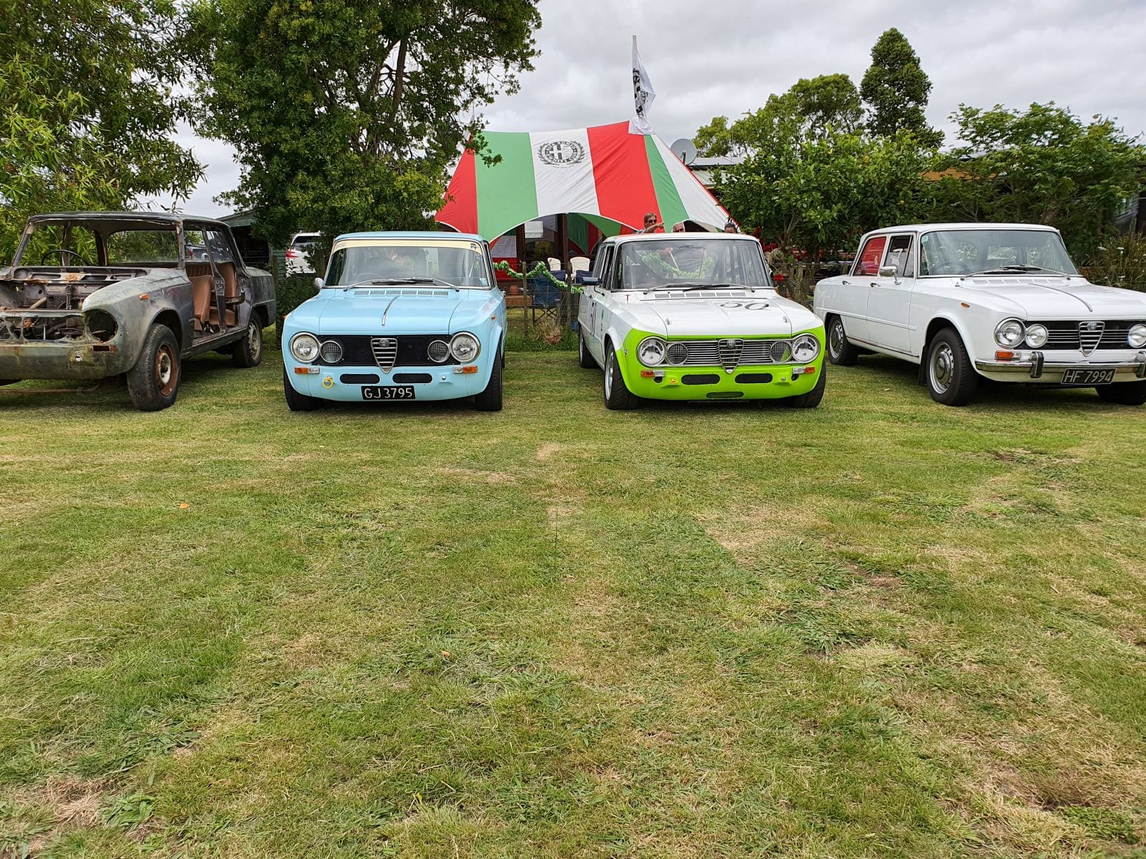 A celebration of Alfa-ness