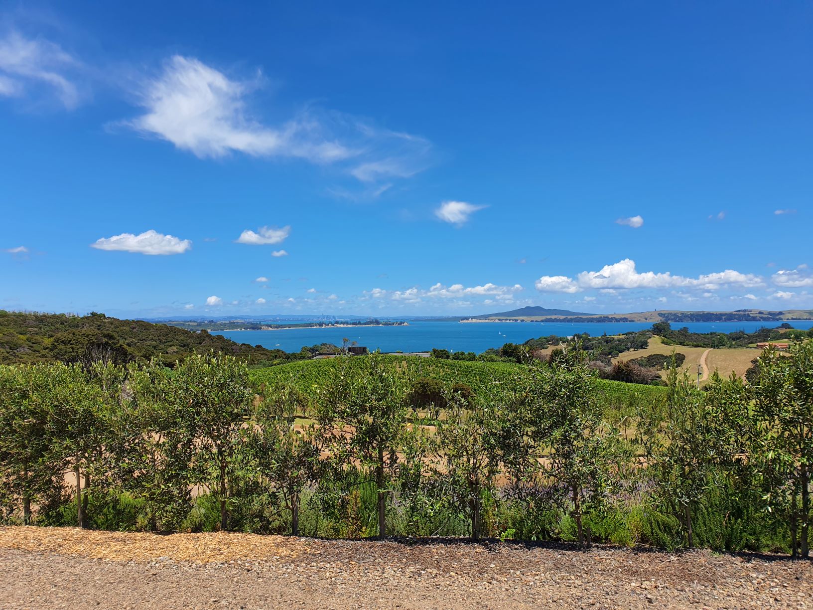 The view from Mudbrick Winery