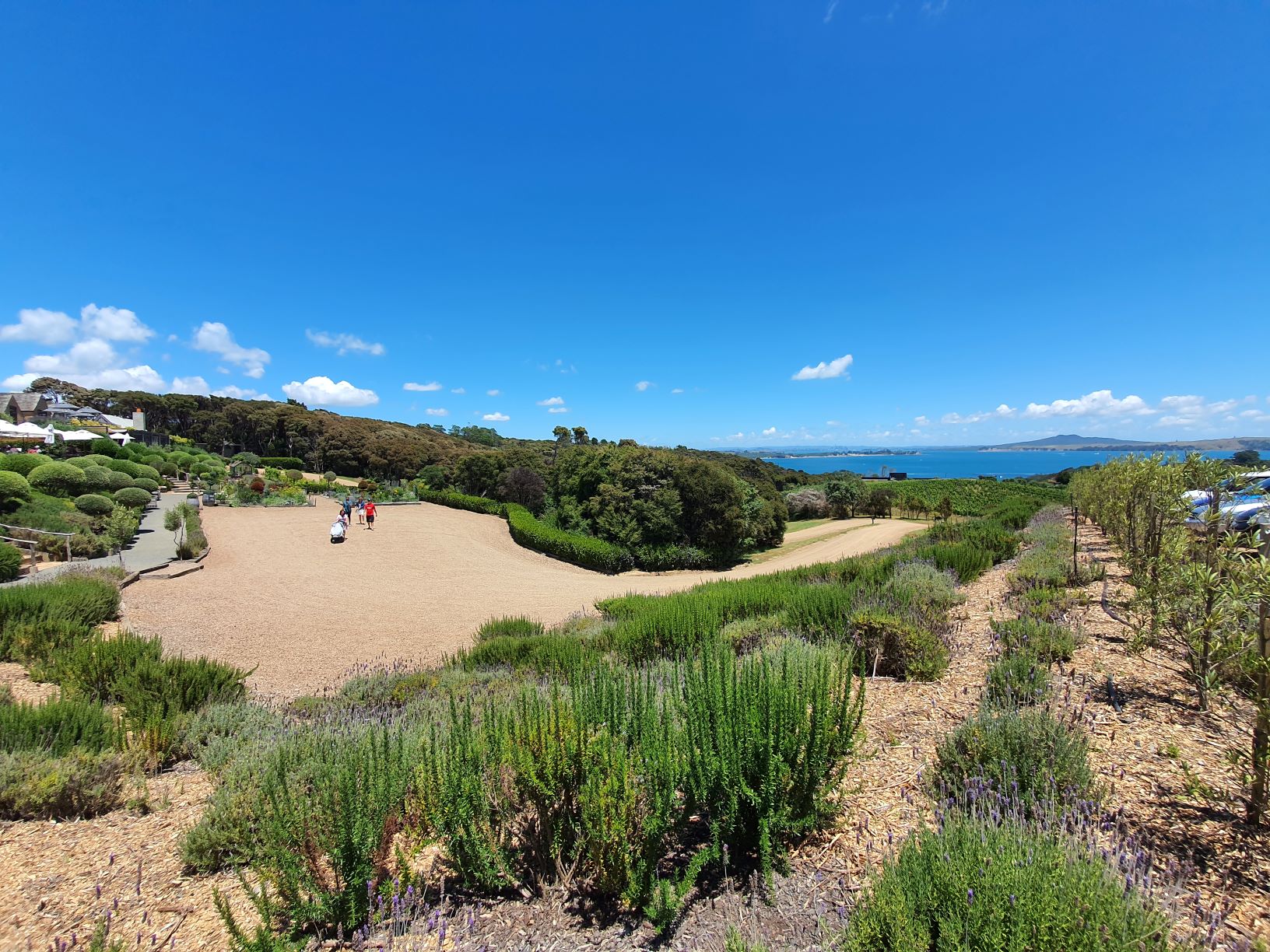 Mudbrick Vineyard