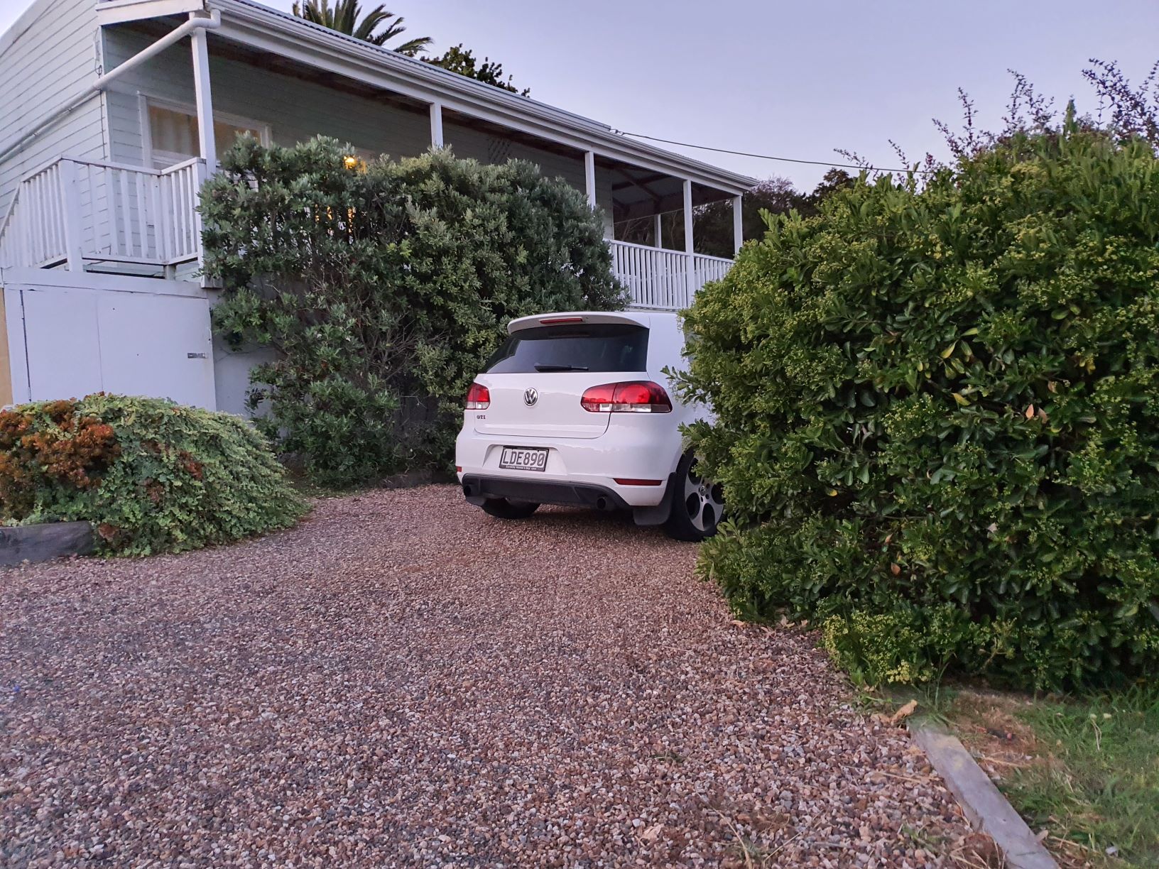 Golf GTI parked between bushes