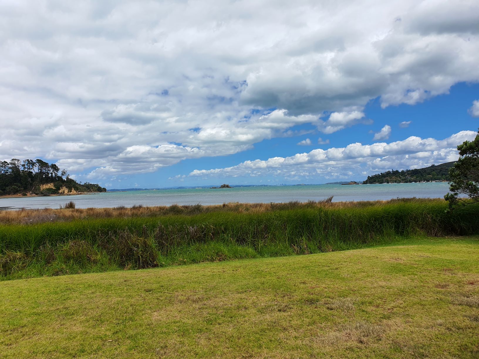 The view from Whakanewha Regional Park