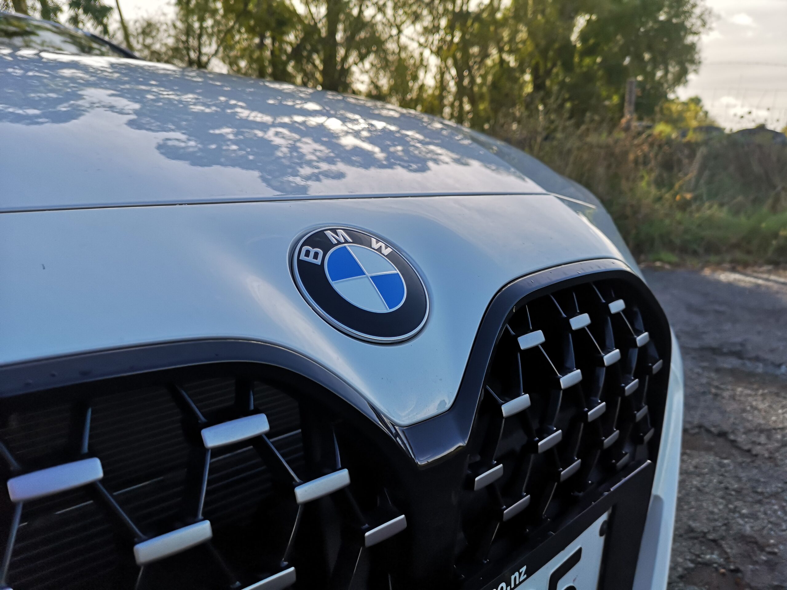 BMW 420i kidney grille