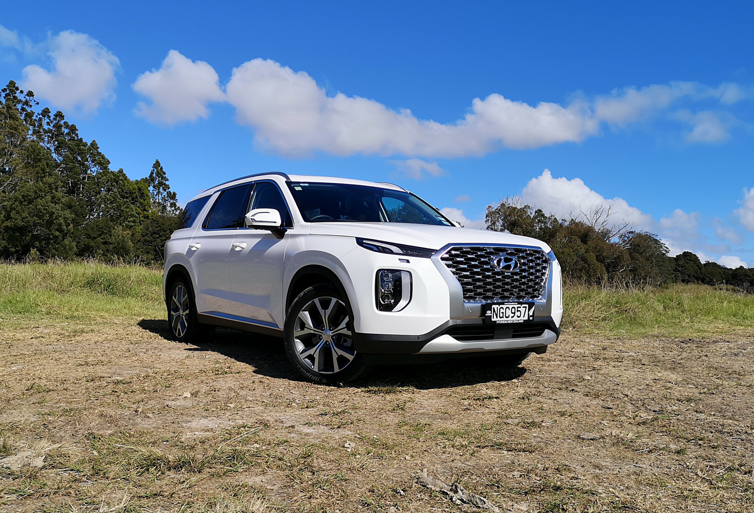Hyundai Palisade review NZ