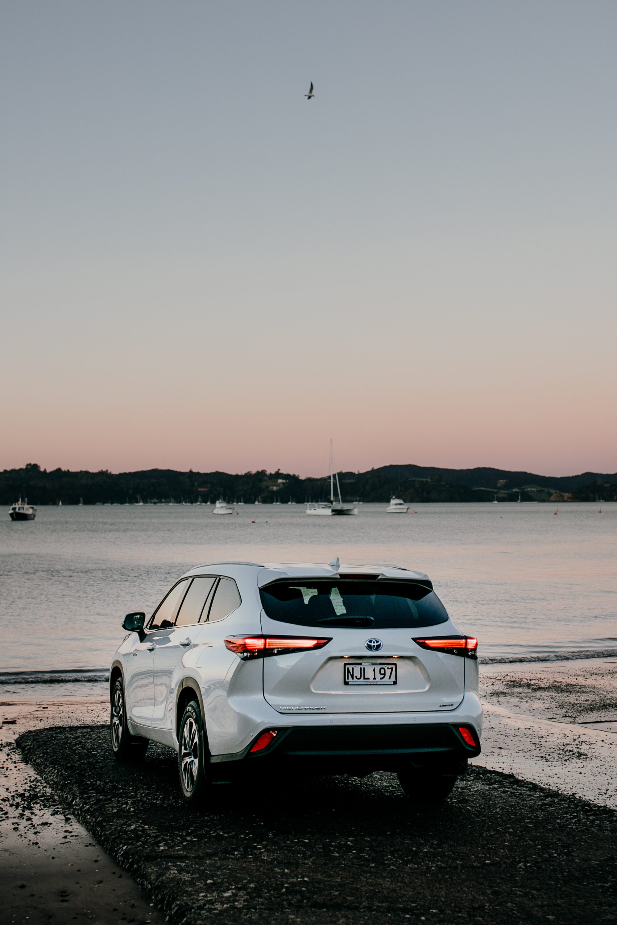 2021 Highlander rear