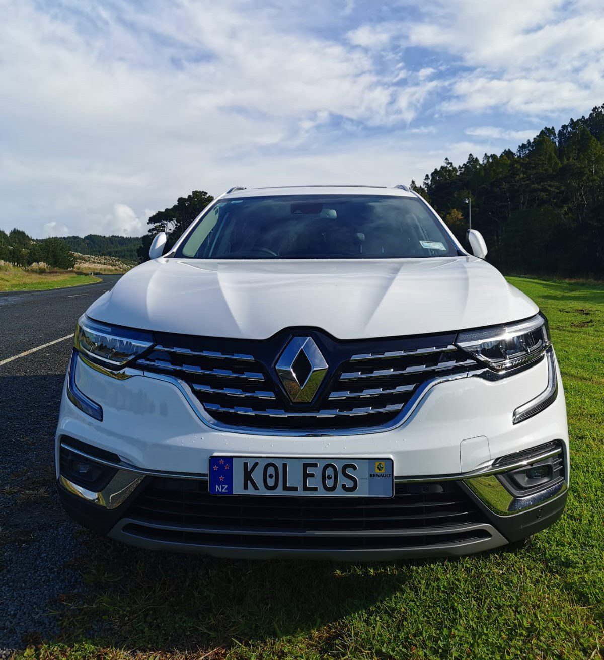 Koleos grille