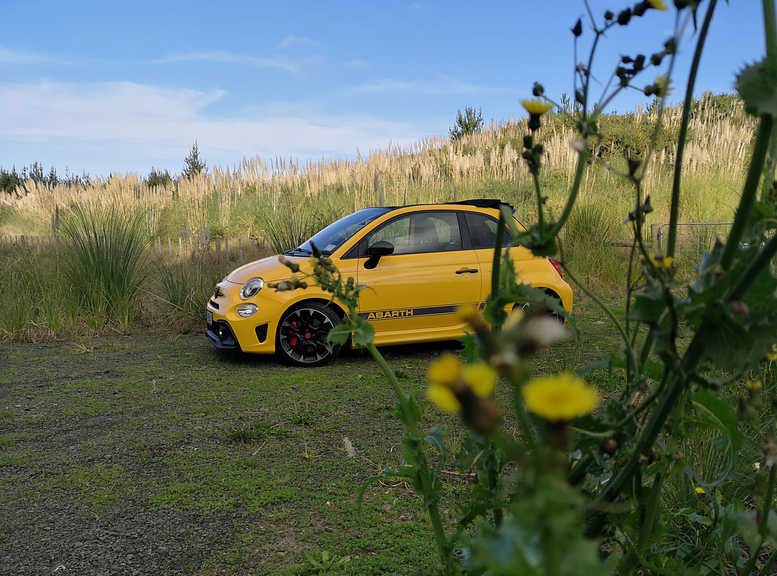 Abarth 595C review NZ