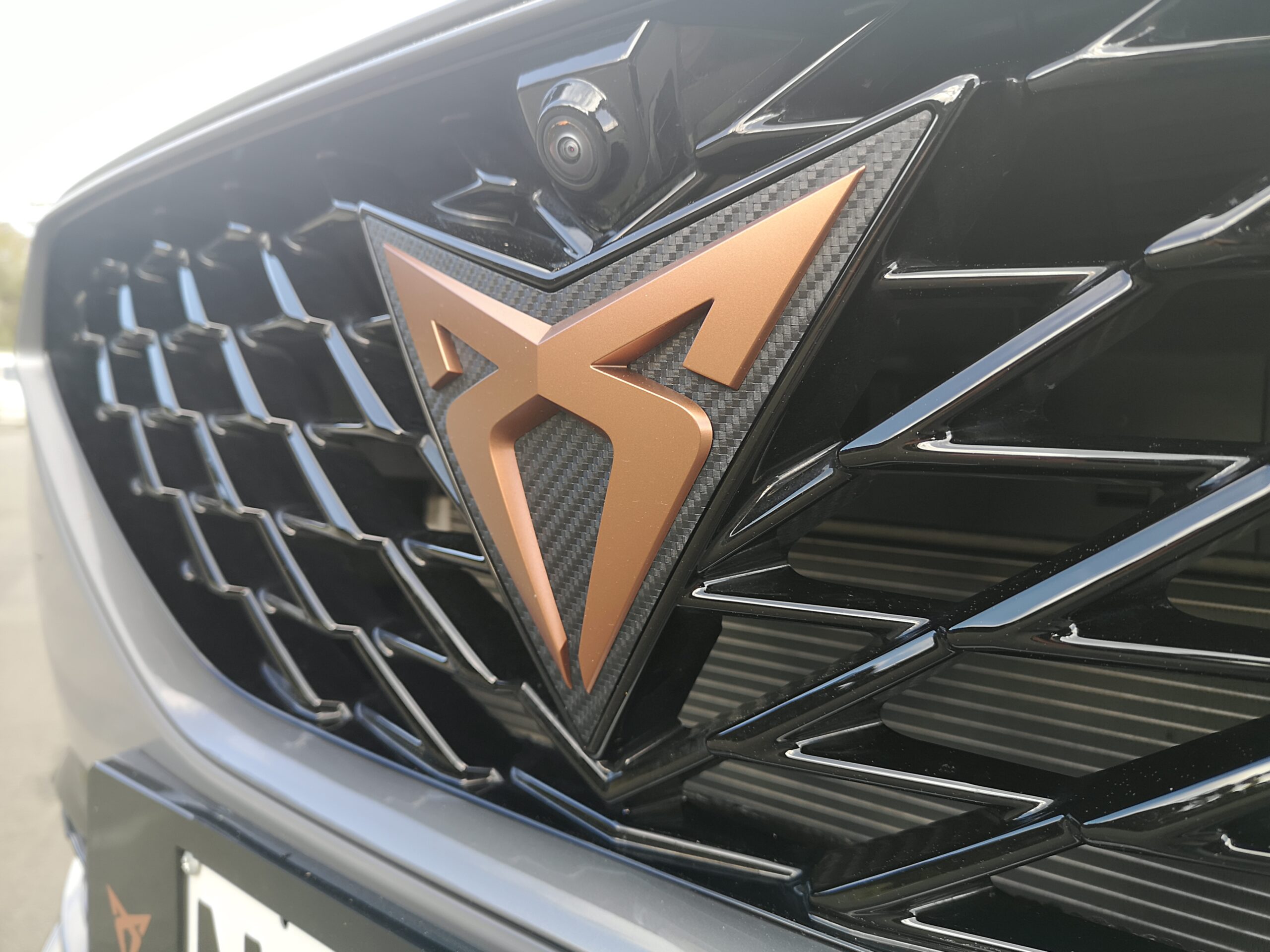 Cupra Logo