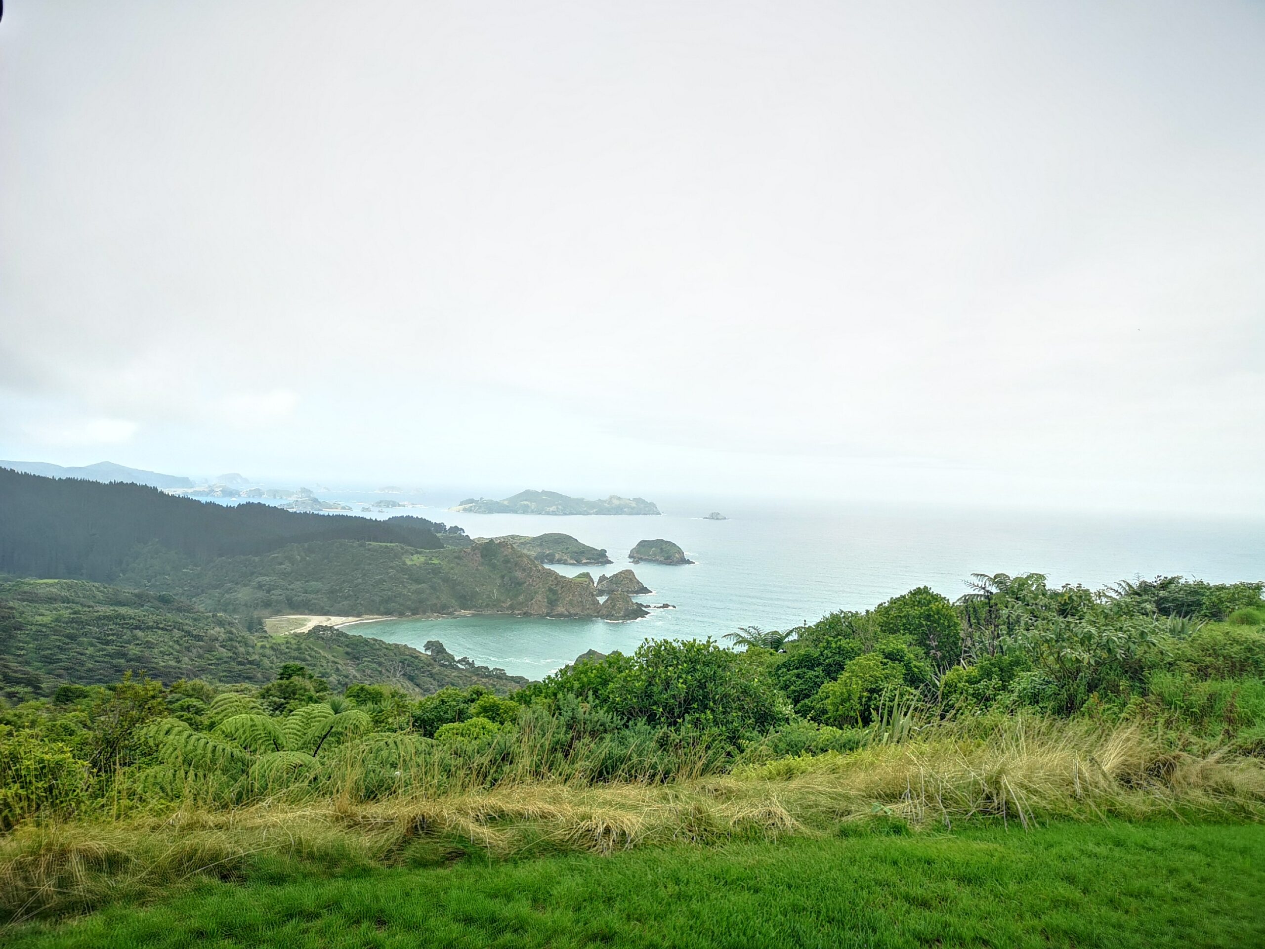 Kauri Cliffs