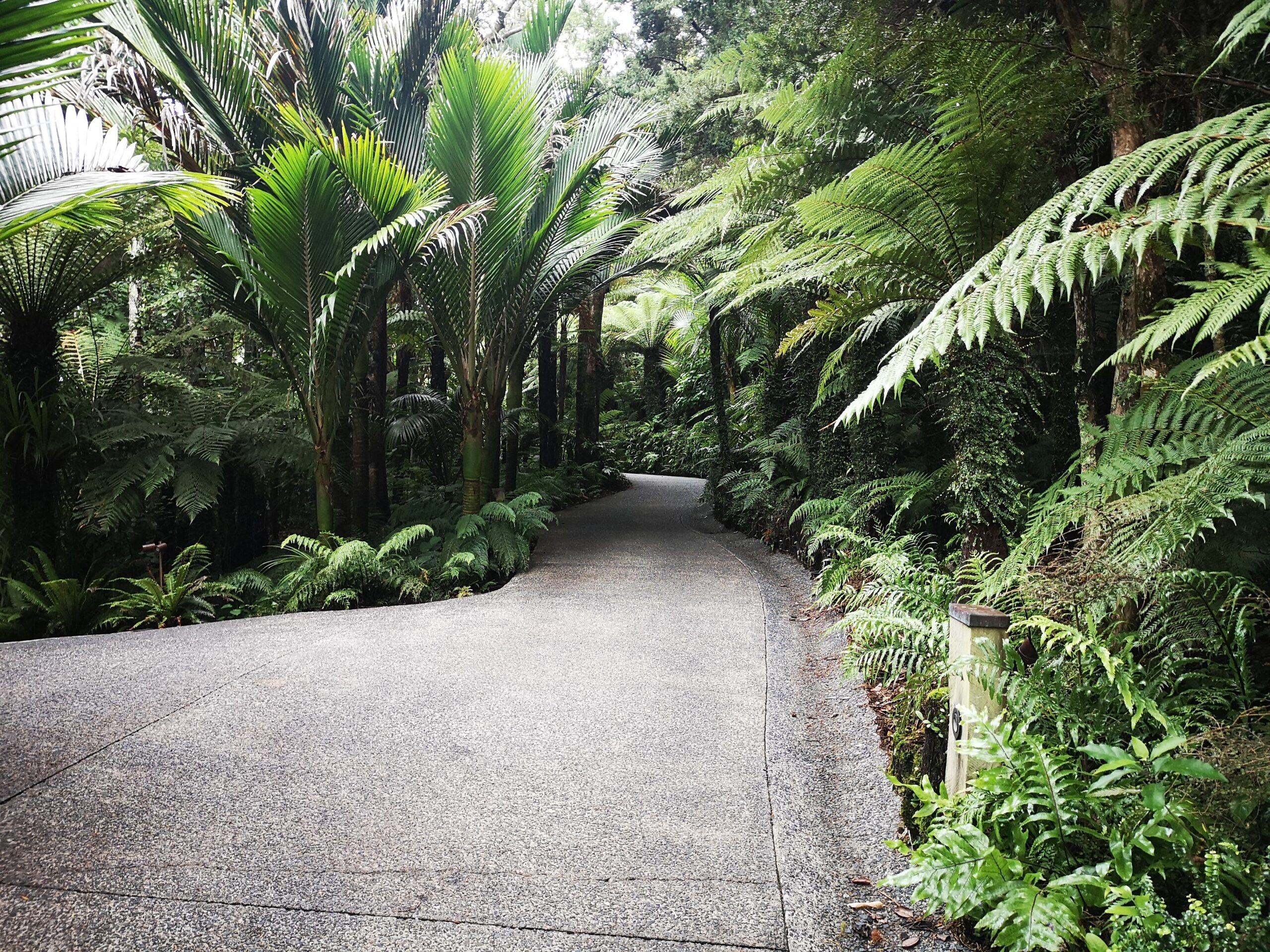 Kauri Cliffs