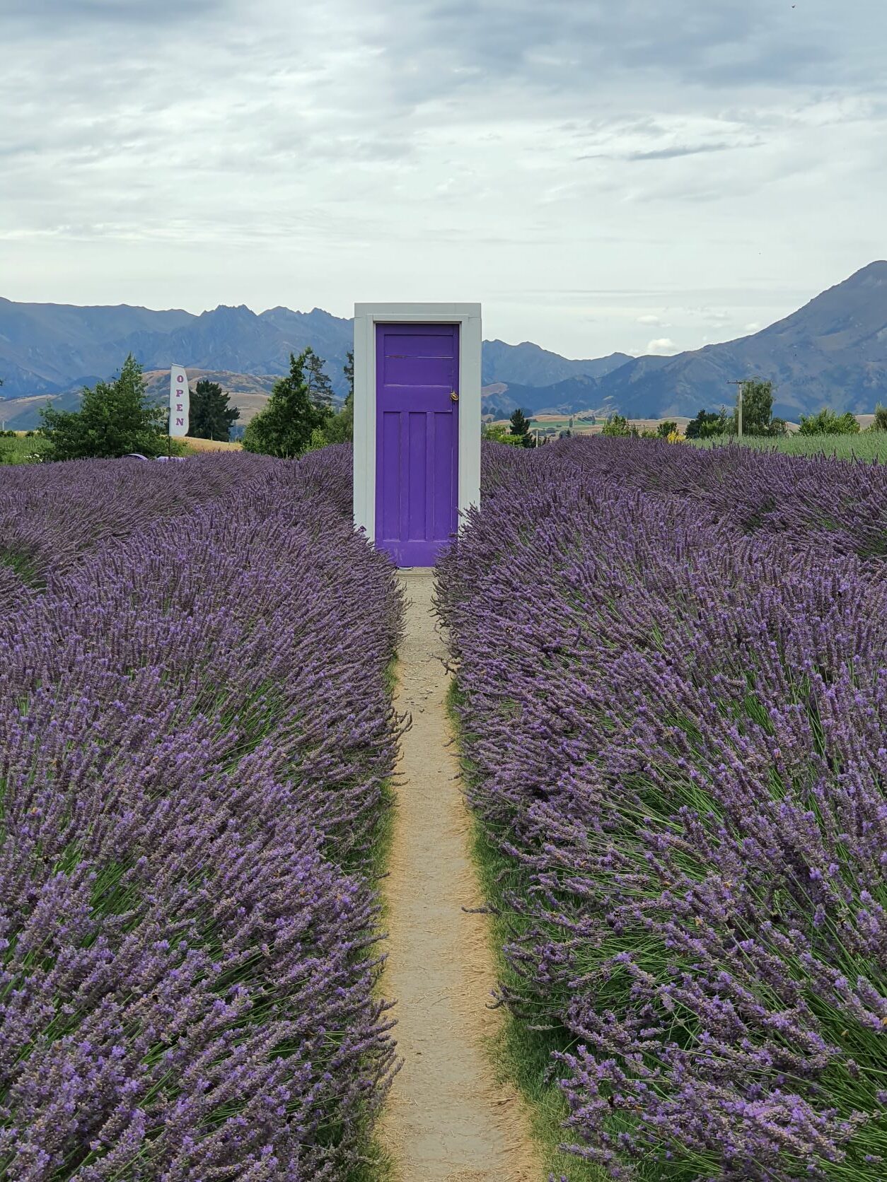 The famous purple door at the Wanaka Lavender Farm