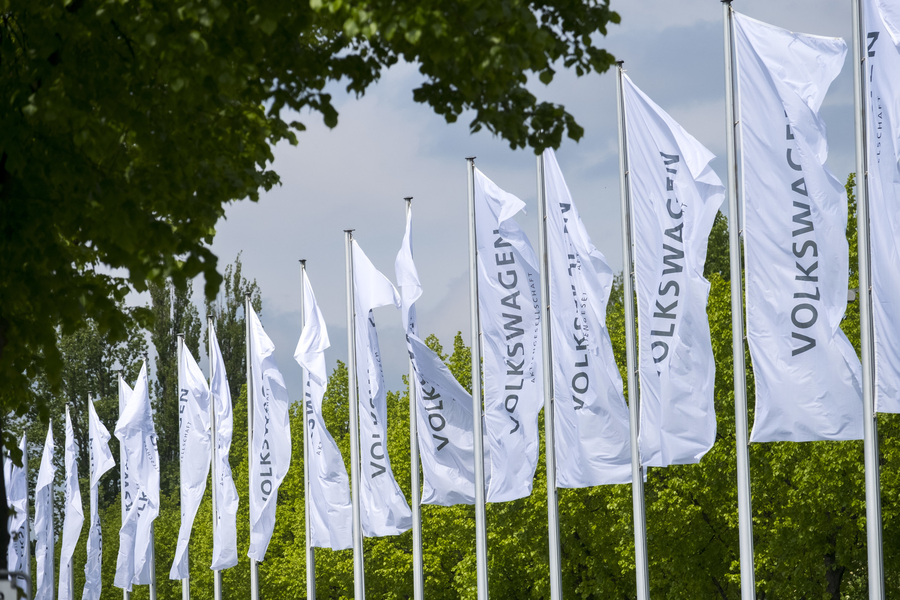 Volkswagen Group flags