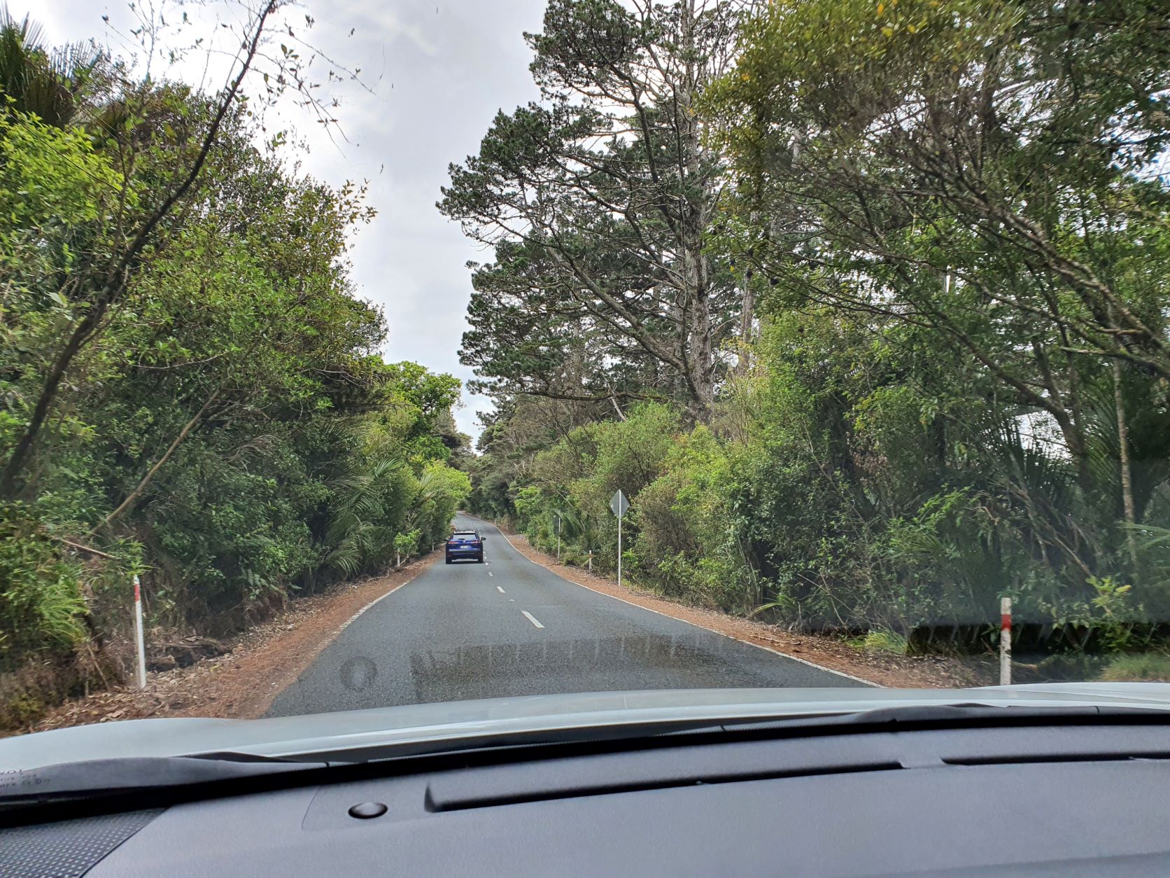 View through the windscreen of Scenic Drive in Auckland, New Zealand