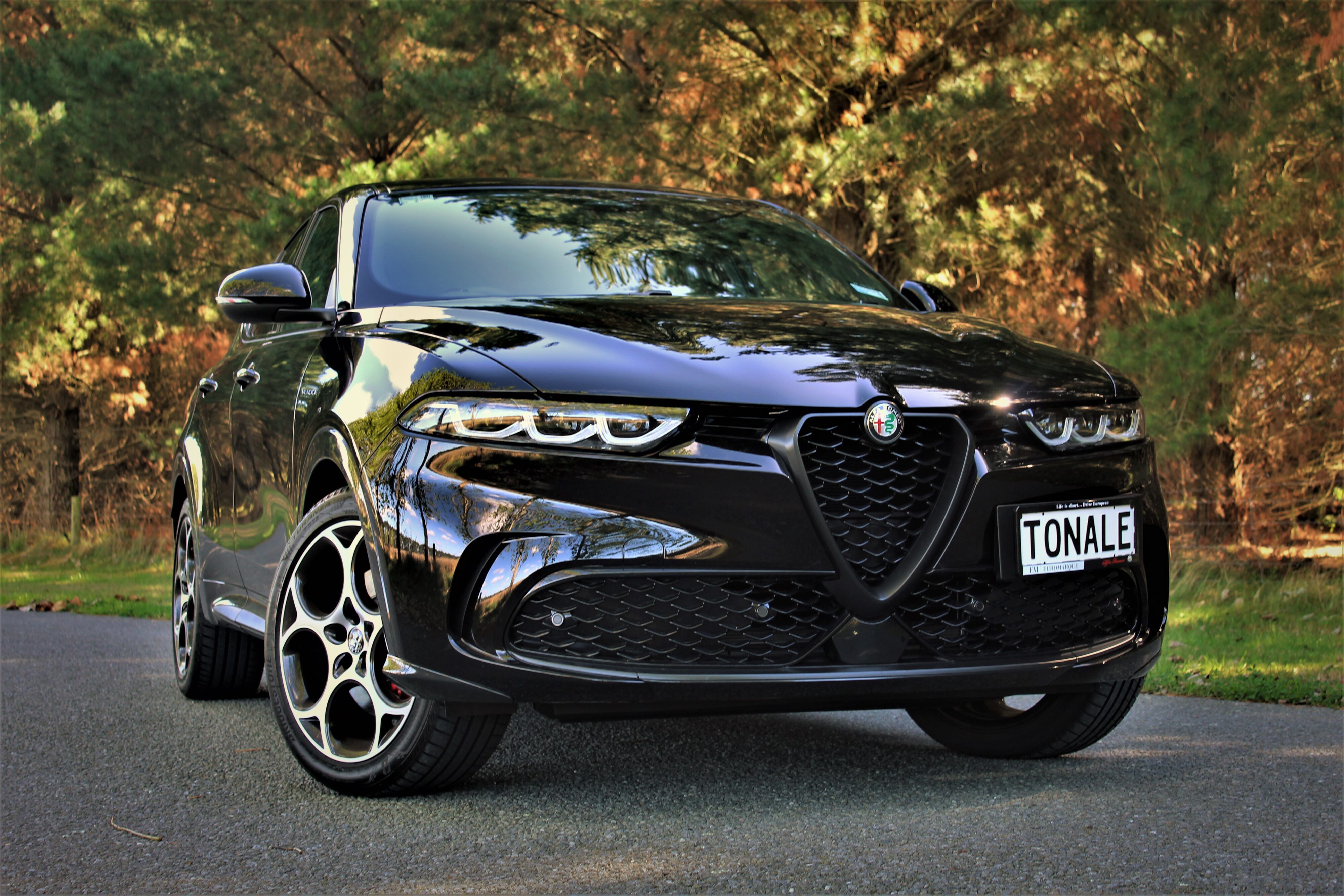 Alfa Romeo Tonale News and Reviews