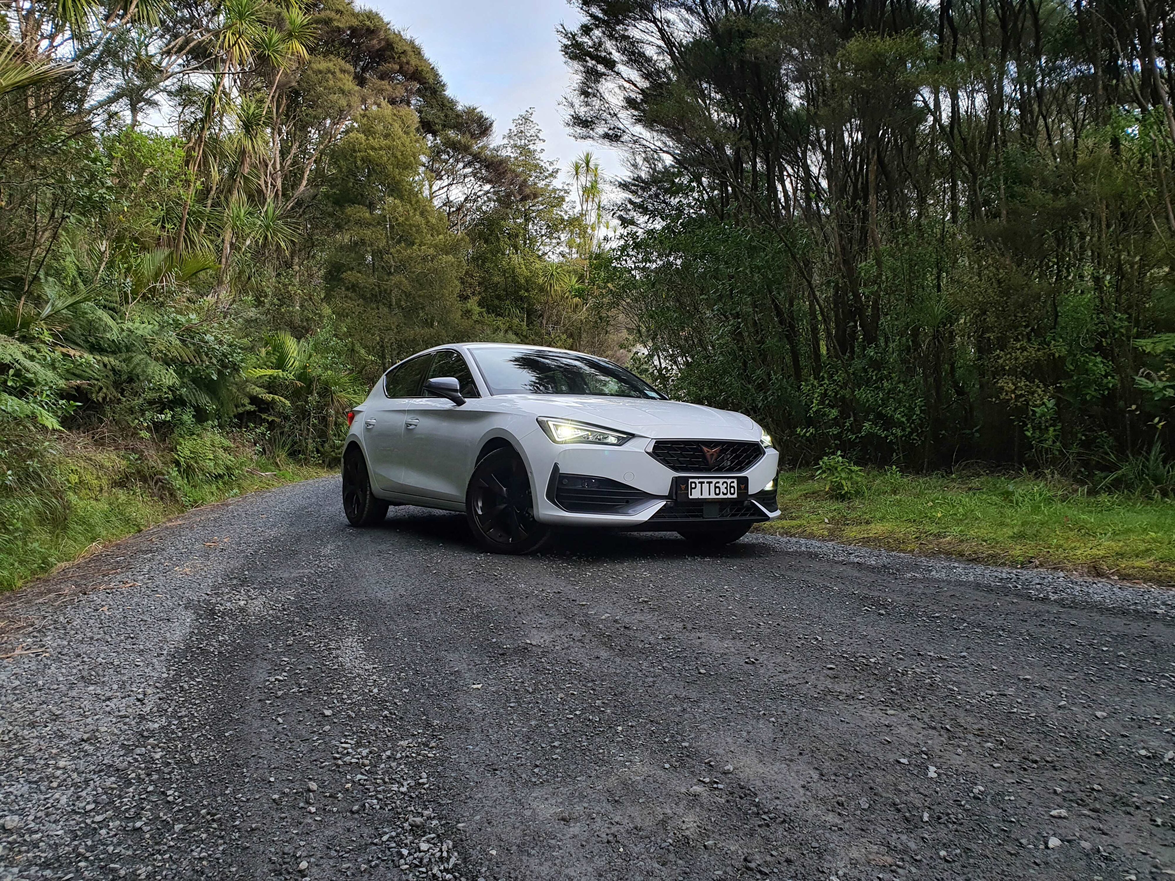 Front three quarters view of a 2023 Cupra Leon V in Nevada White with a green forest background