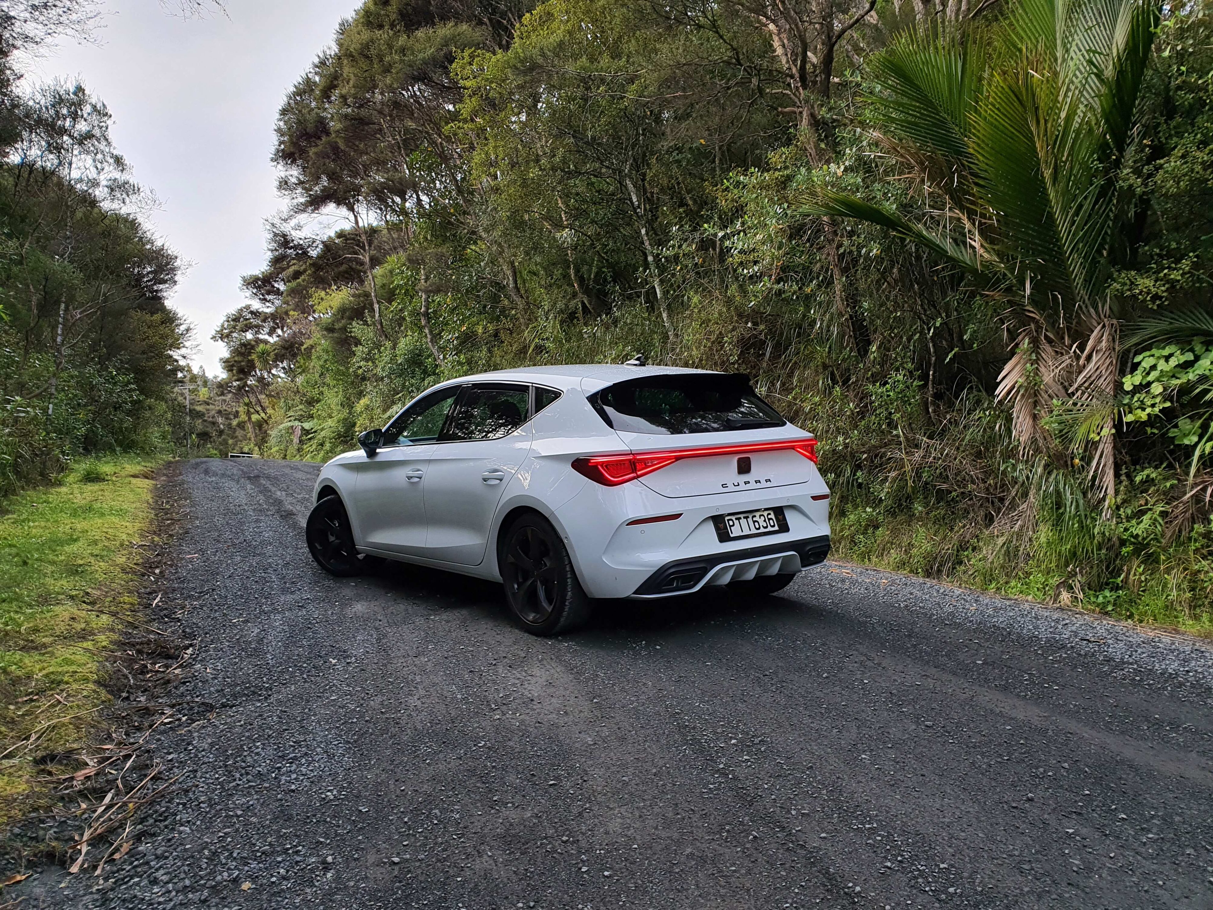 Rear three quarters view of a 2023 Cupra Leon V in 'Nevada White' with a green forest background