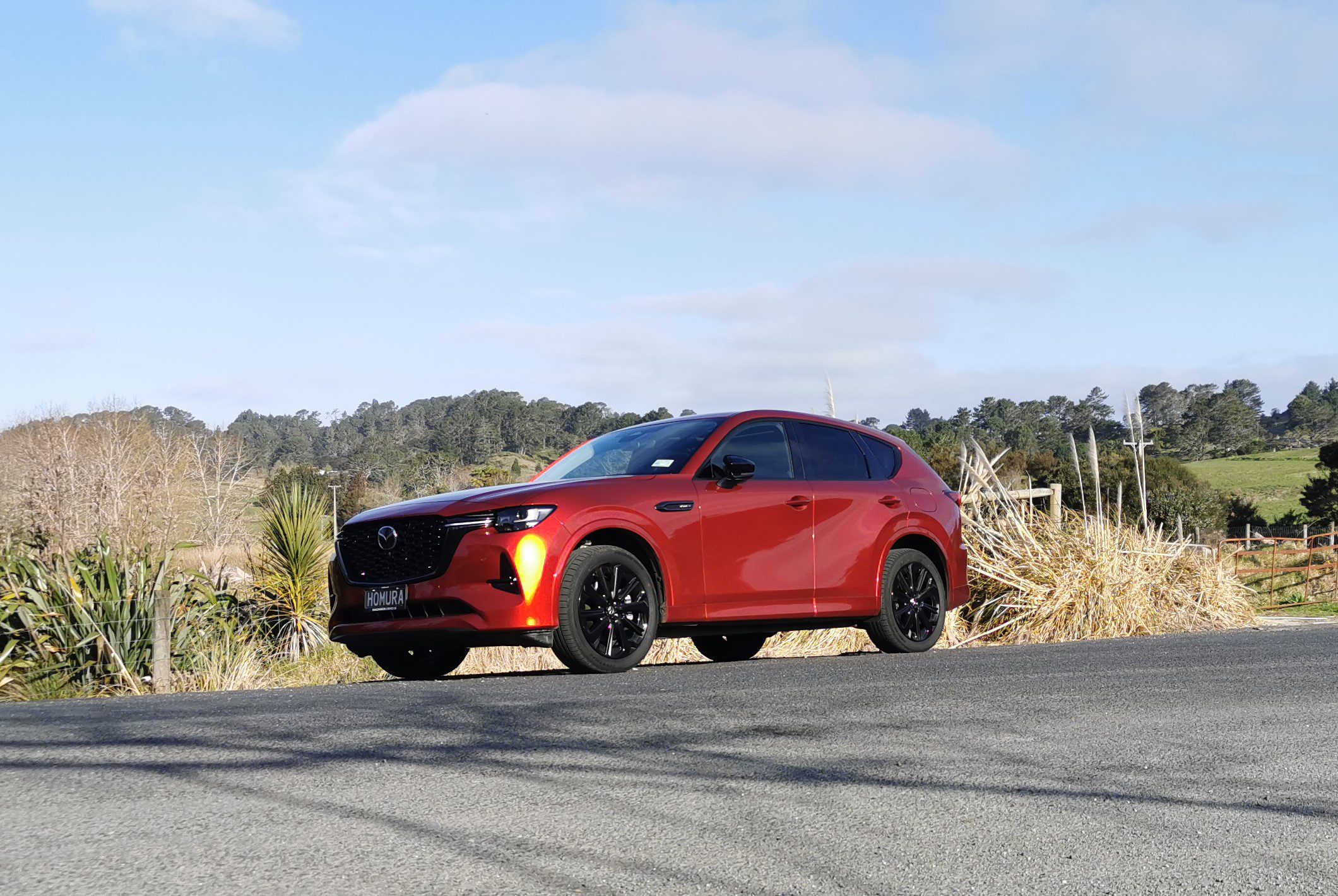 Mazda CX-60 review NZ