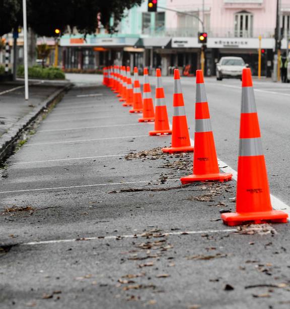 Why so many ‘kin cones?