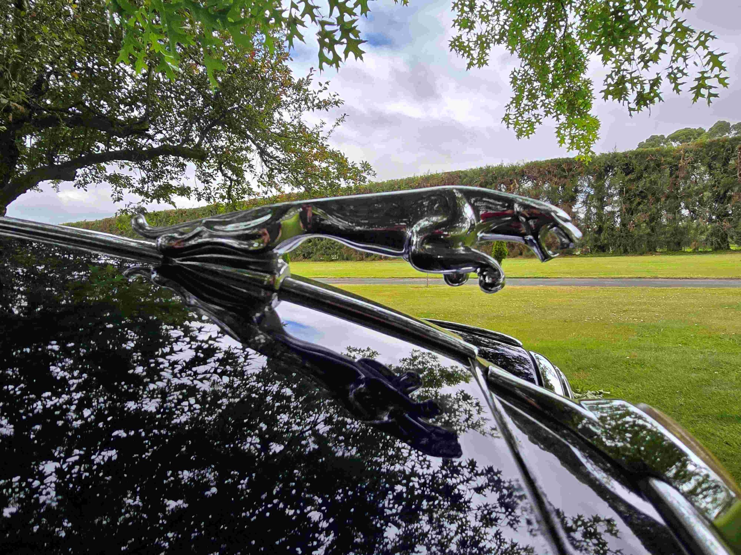 Beacham Special Vehicles NZ