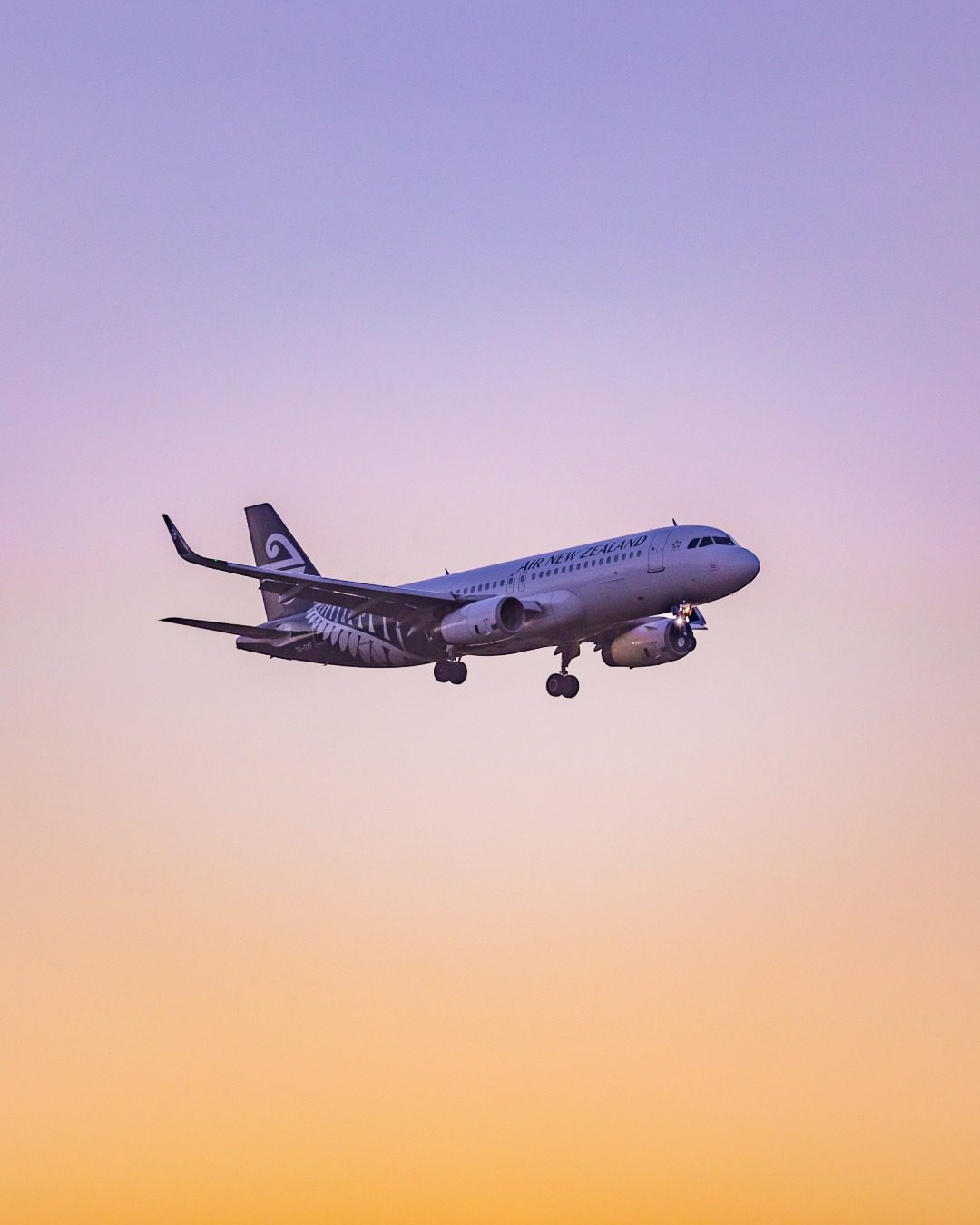 Air New Zealand Kicks Off 2025 with Discount Dream Destinations Tarmac Life Motoring Tech