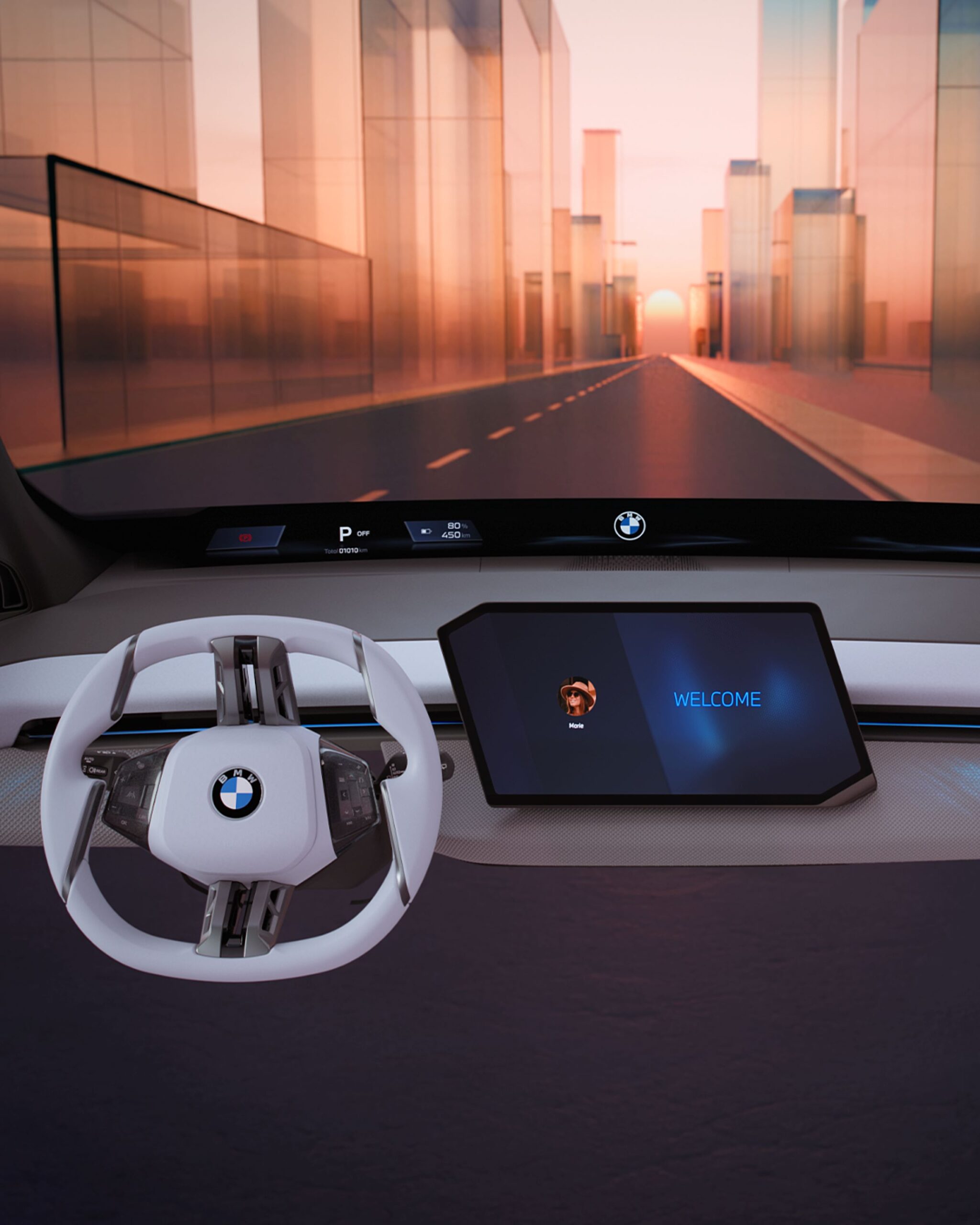 BMW panoramic vision