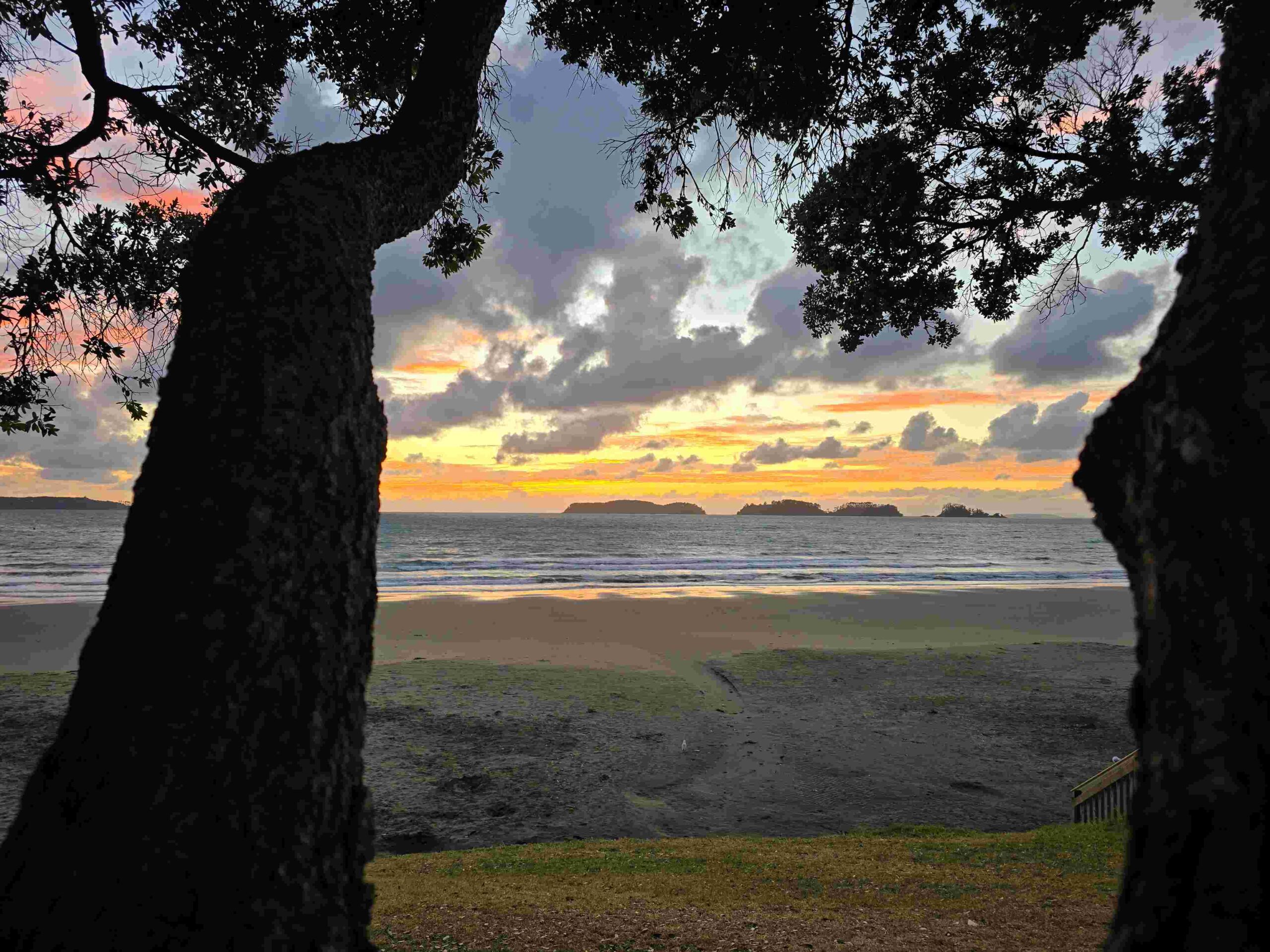 VW California Ocean review NZ