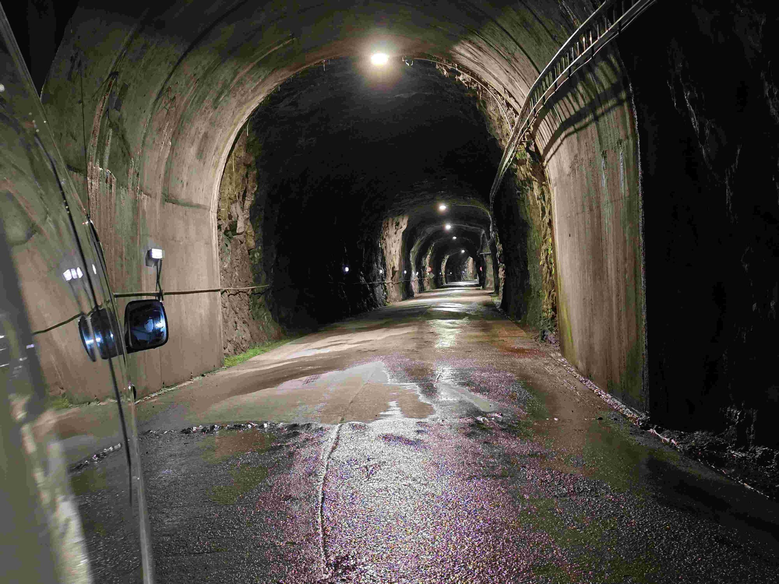 BYD Shark 6 launch and first drive NZ