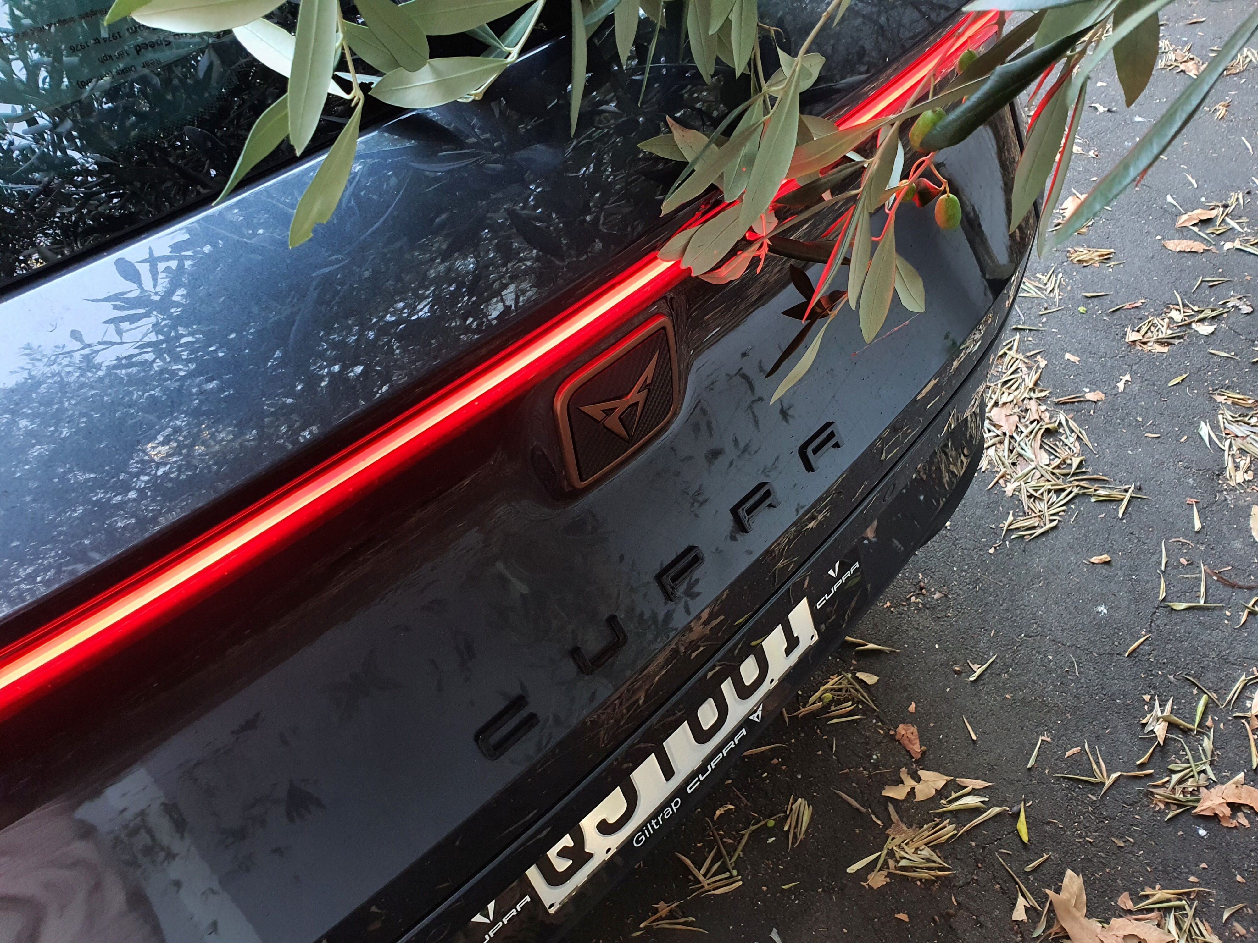 An olive brand in the foreground with the rear hatch of a Cupra Leon V Sportstourer e-HYBRID in Magnetic Tec in the background.