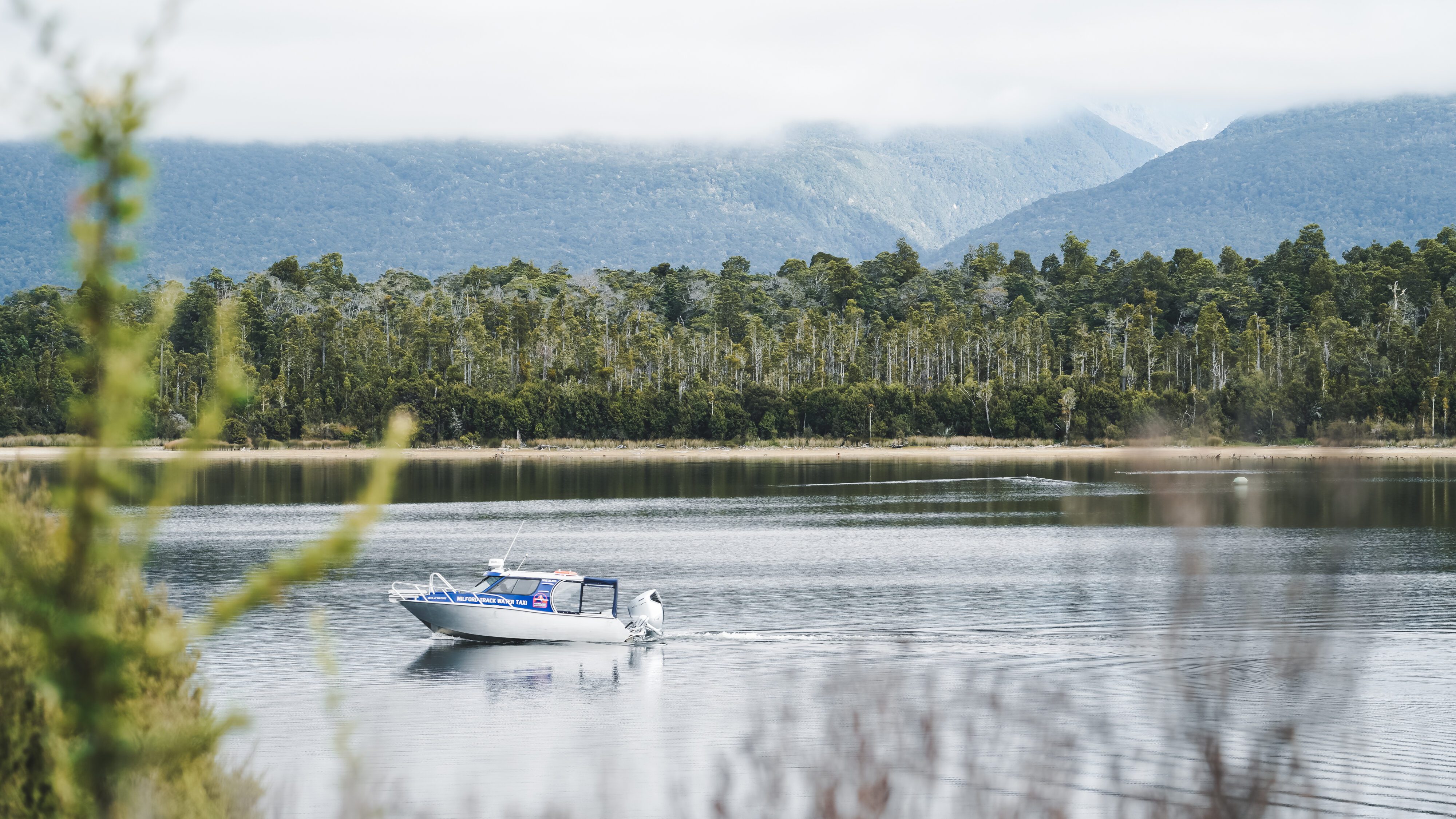 Fiordland's Finest: Four Days on the Milford Track