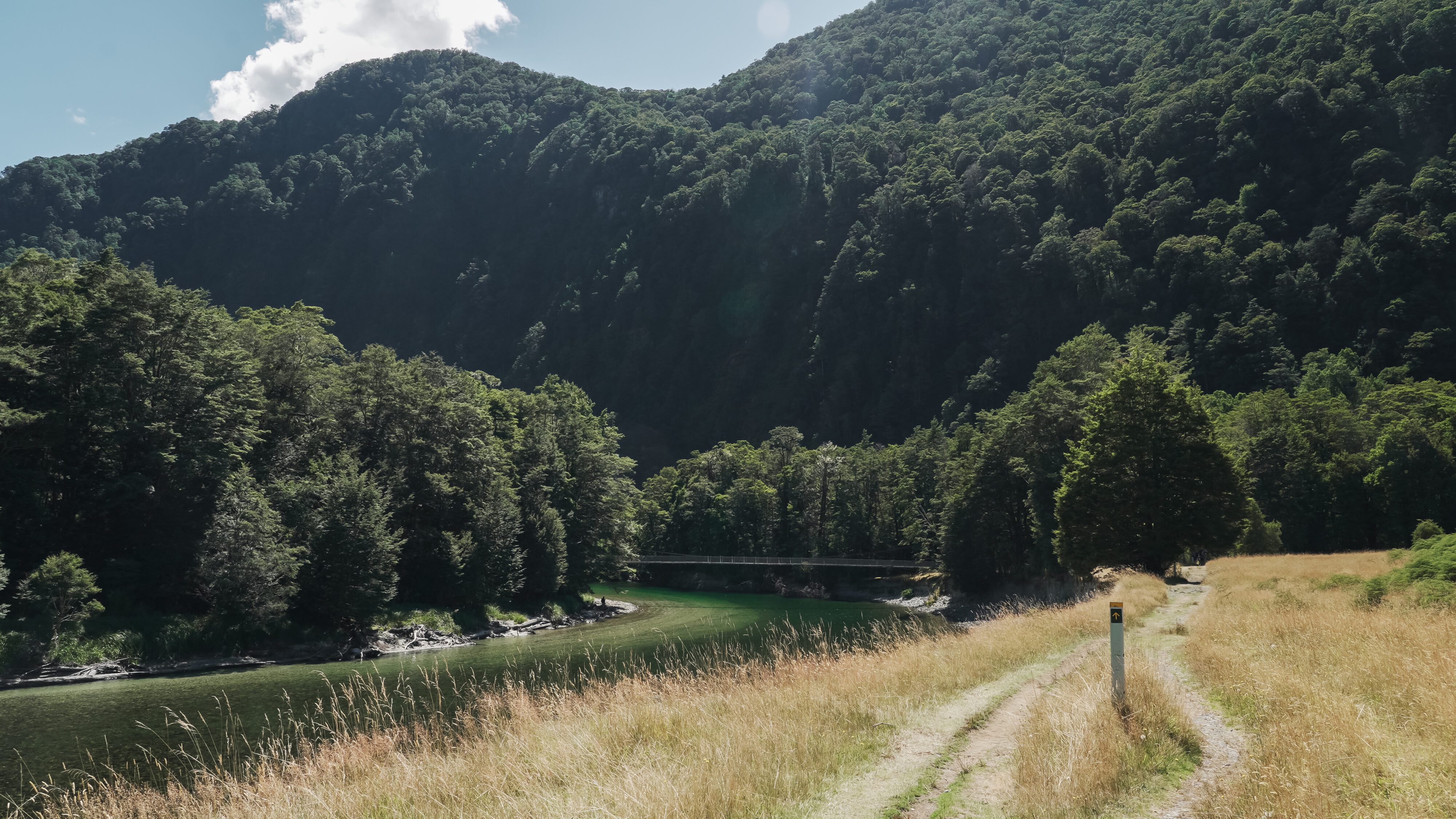 Fiordland's Finest: Four Days on the Milford Track