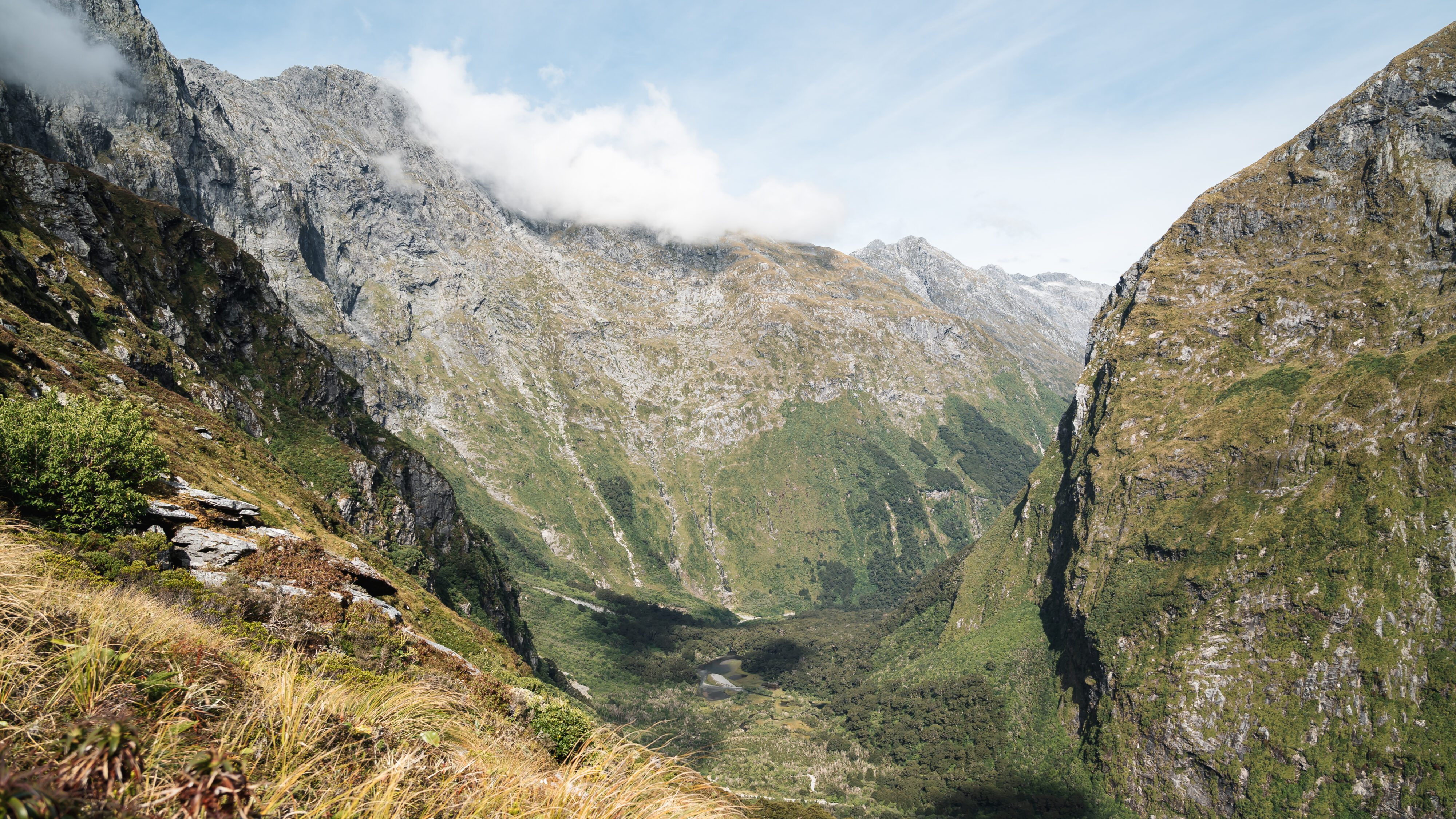 Fiordland's Finest: Four Days on the Milford Track