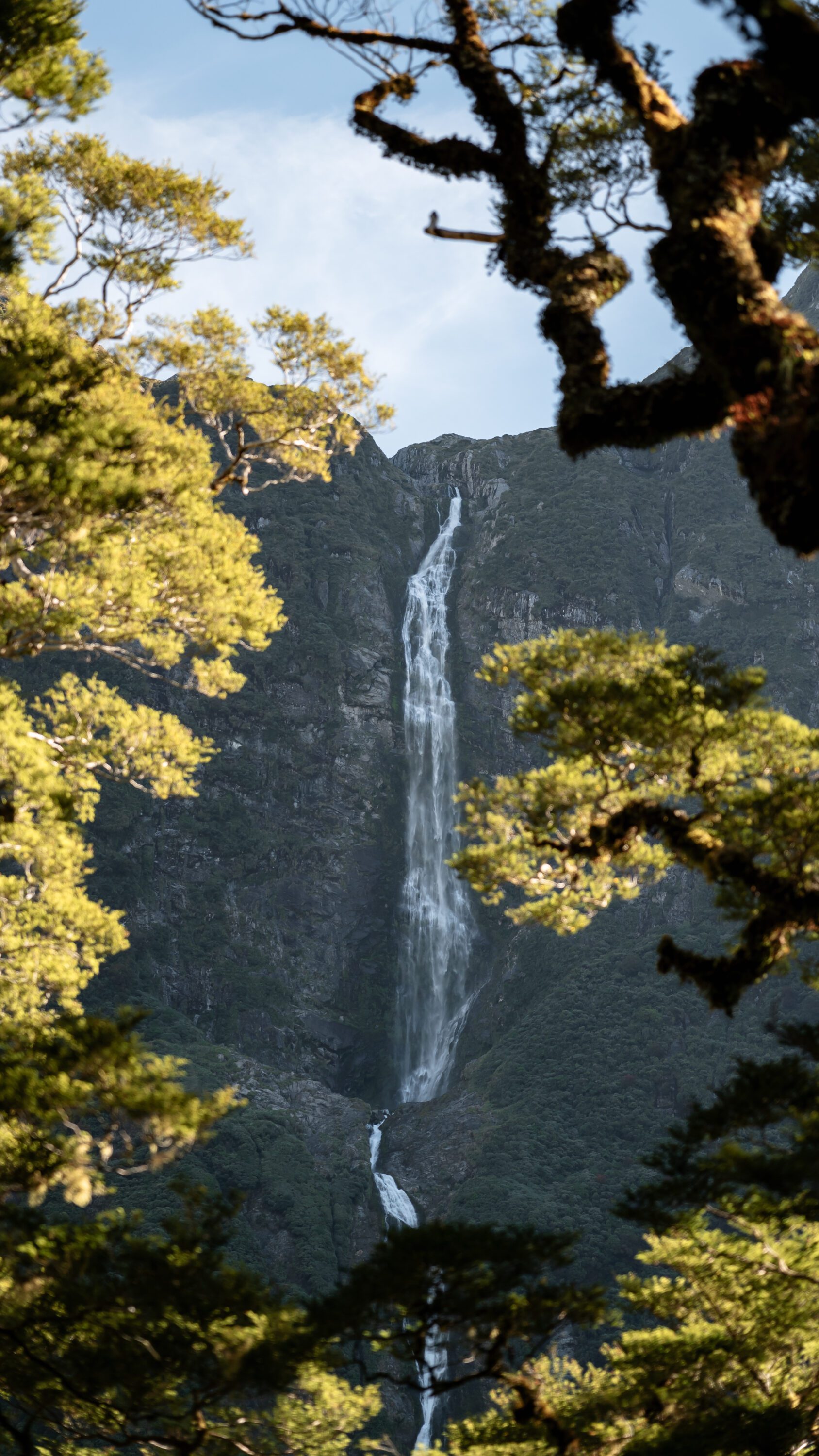 Fiordland's Finest: Four Days on the Milford Track