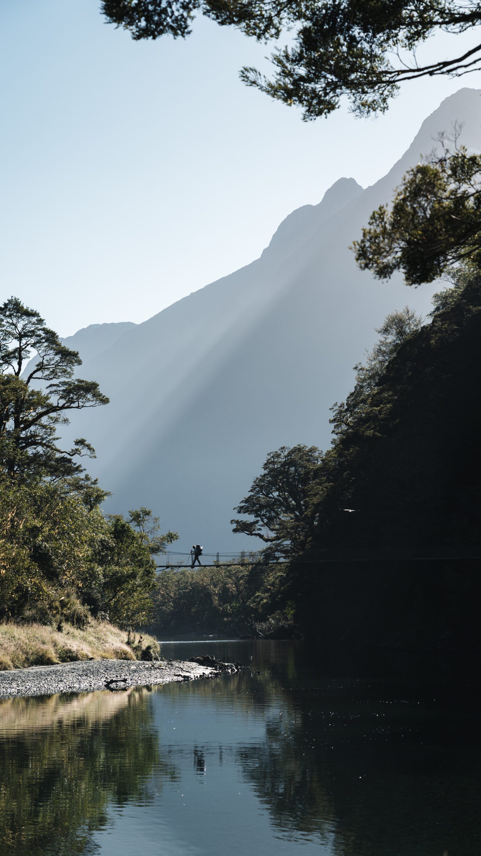 Fiordland's Finest: Four Days on the Milford Track