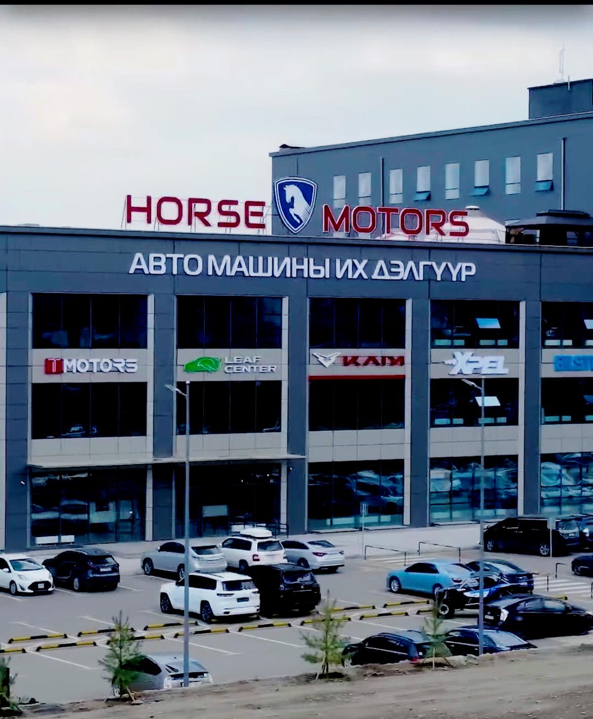 Sea-borne Sustainability - HORSE Enters Maritime Territory