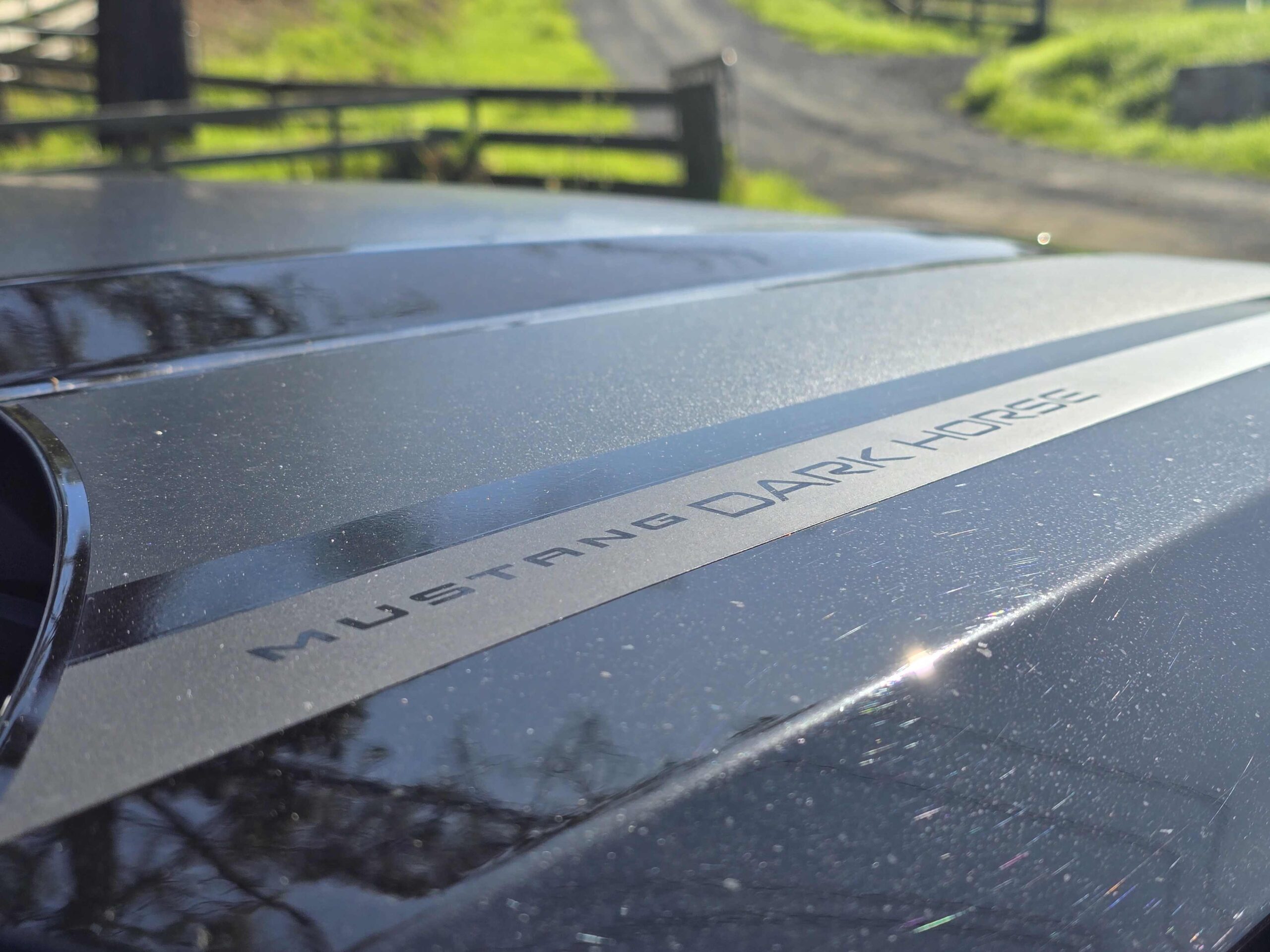 Frothing at the bit - Ford Mustang Dark Horse review