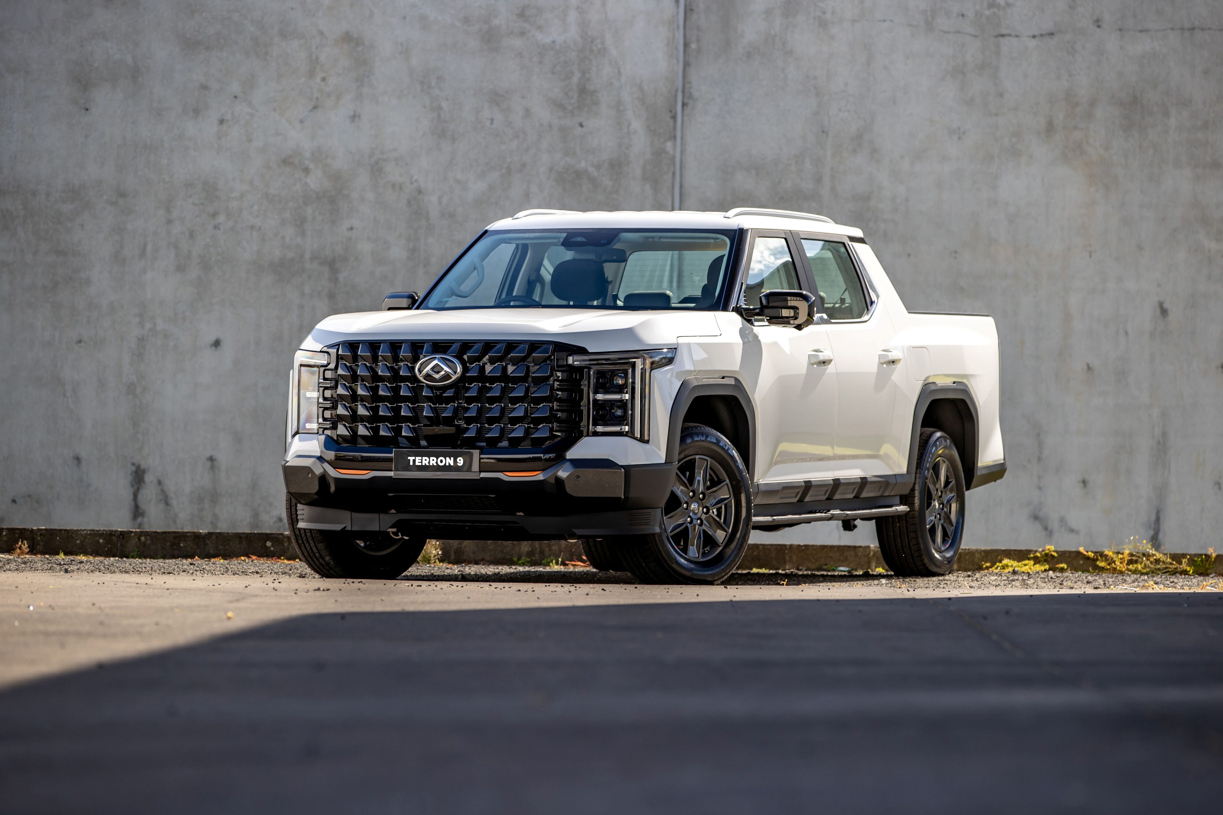 The LDV TERRON 9 Elite - So Much Ute!