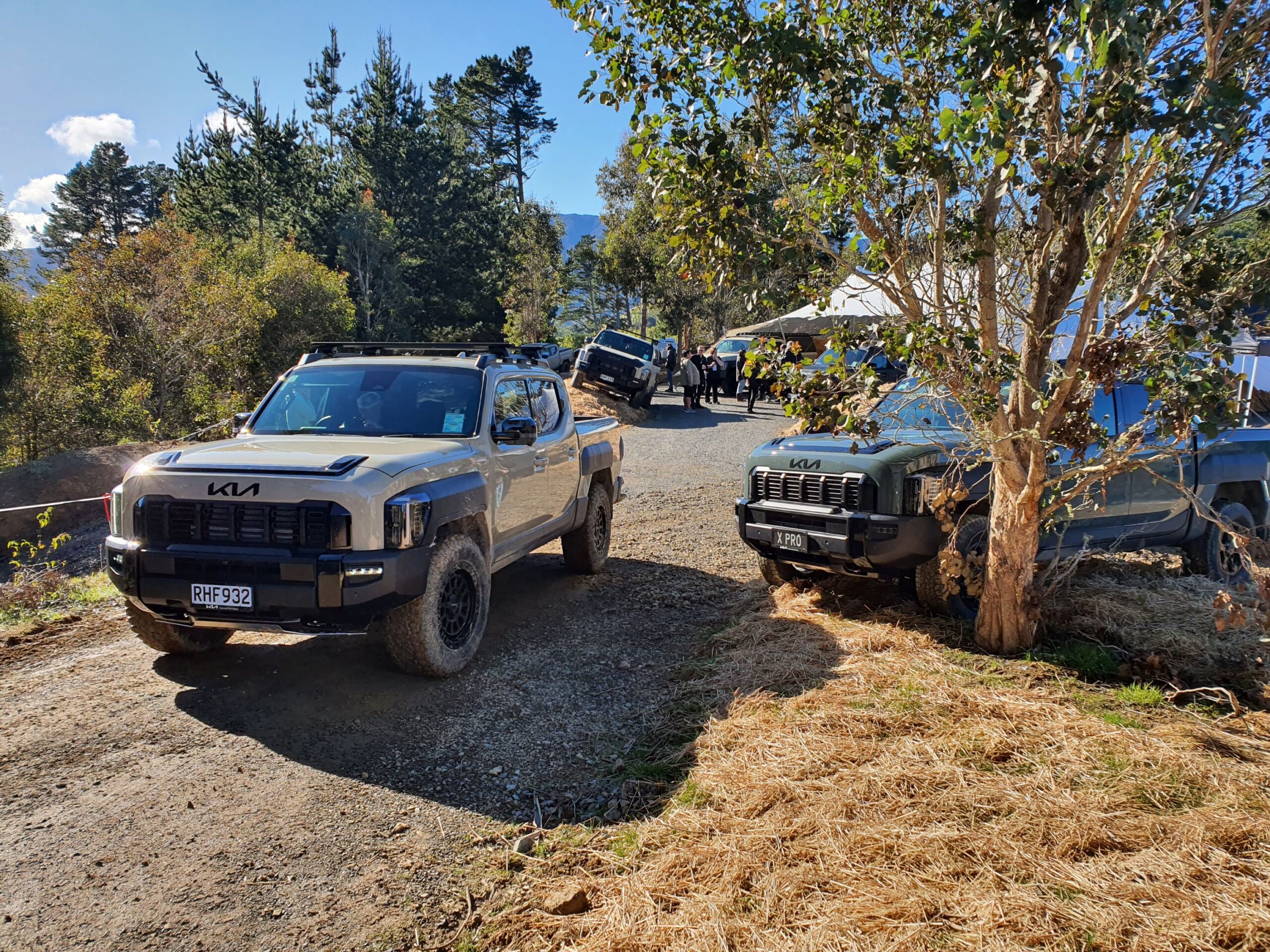 A view of many Kia Tasmans at Dirt Farm in Te Horo, Hautere in the wider Wellington region.