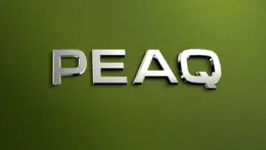 A photo of the 'Peaq' badge on the rear of a Skoda Peaq.